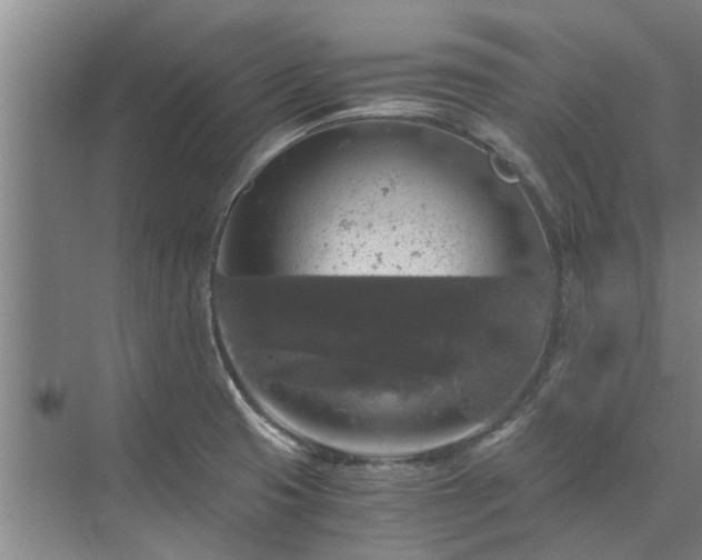 X0000072961425200607282244