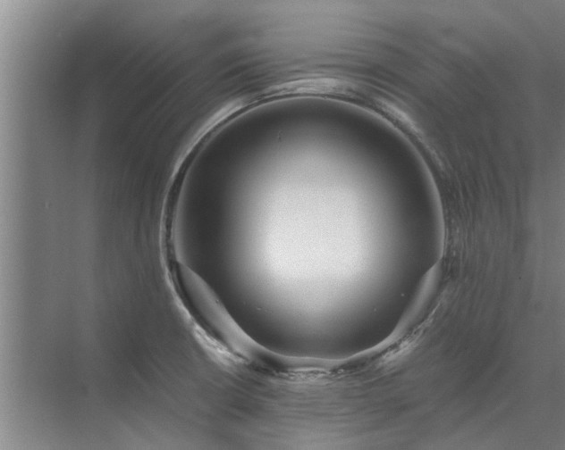 X0000072961426200607282244