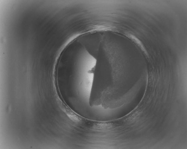 X0000072961427200607282244