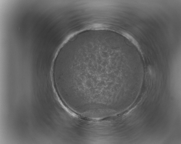 X0000072961429200607282244