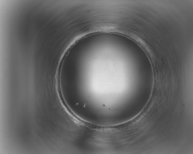 X0000072961432200607282244