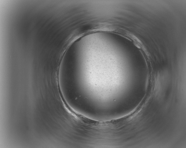 X0000072961433200607282244