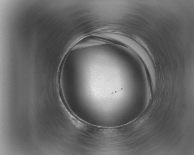 X0000072961434200607282244