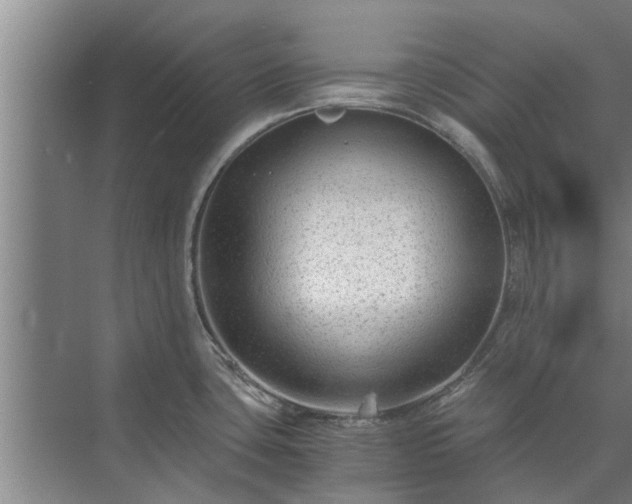 X0000072961435200607282244