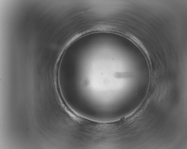 X0000072961437200607282244