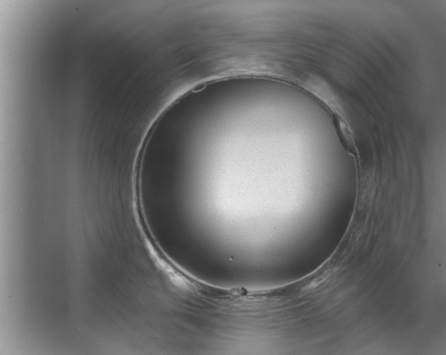 X0000072961439200607282244