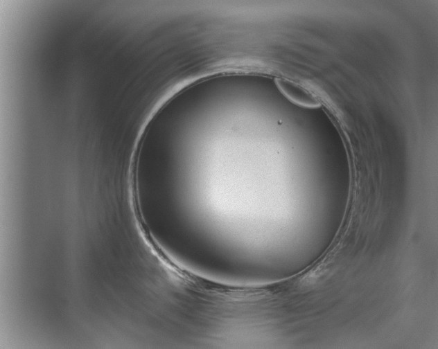 X0000072961440200607282244