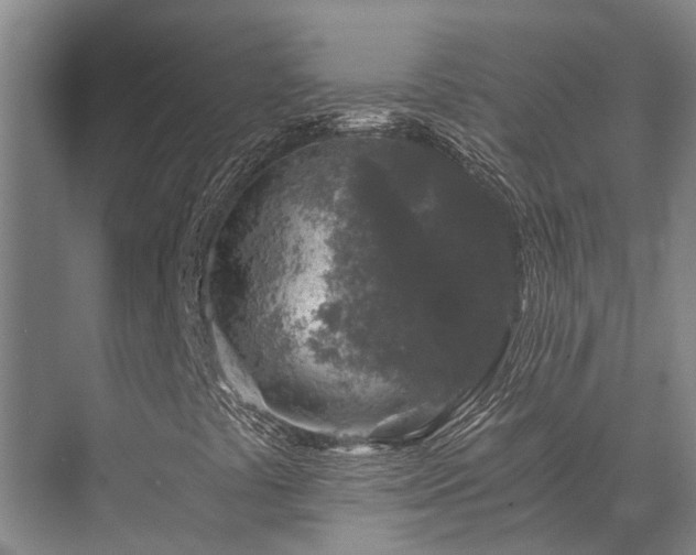 X0000072961441200607282244