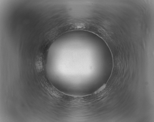 X0000072961442200607282244