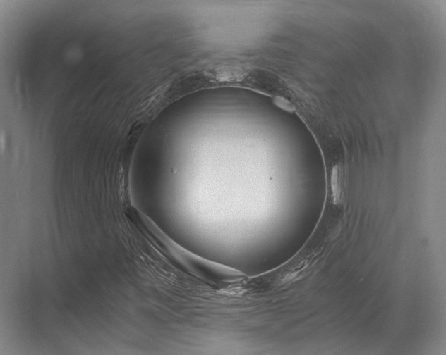 X0000072961443200607282244