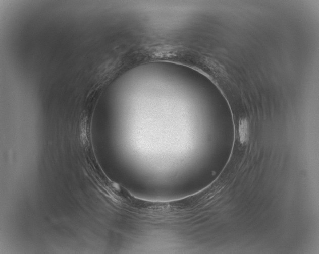 X0000072961444200607282244