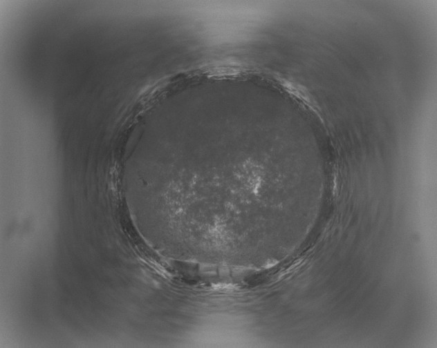 X0000072961445200607282243