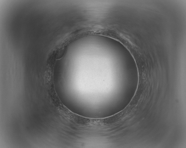 X0000072961447200607282243