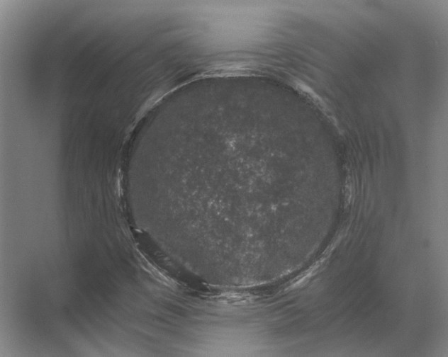 X0000072961449200607282243