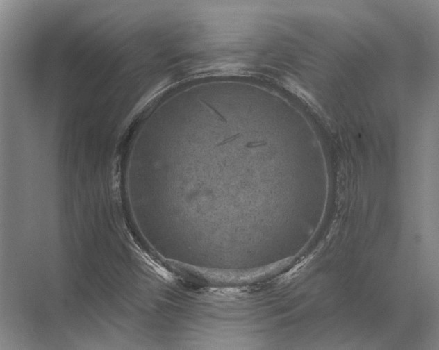 X0000072961450200607282243