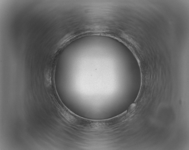 X0000072961451200607282243