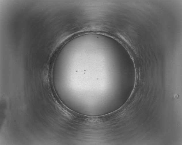 X0000072961452200607282243