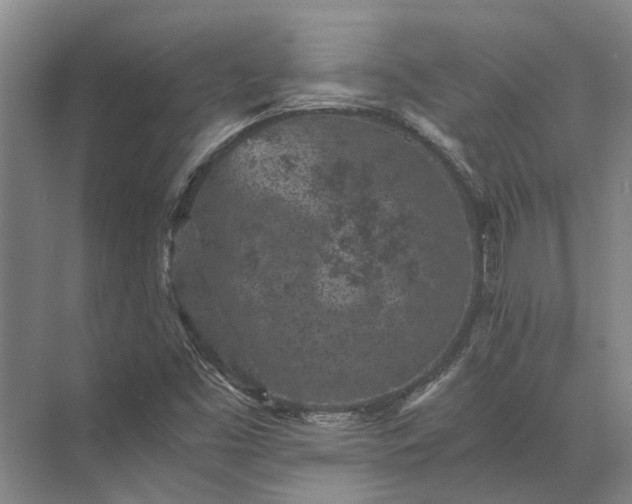 X0000072961453200607282243