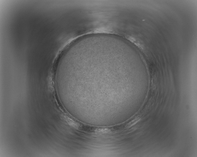 X0000072961454200607282243