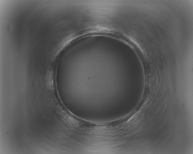 X0000072961455200607282243