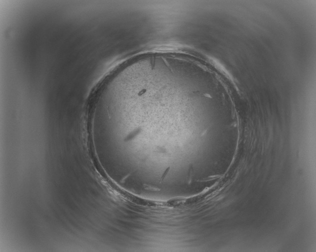 X0000072961456200607282243