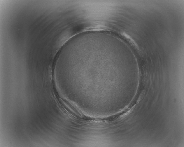 X0000072961457200607282243