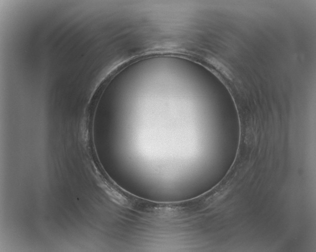 X0000072961458200607282243