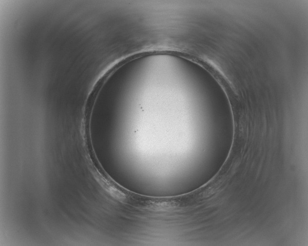 X0000072961460200607282243