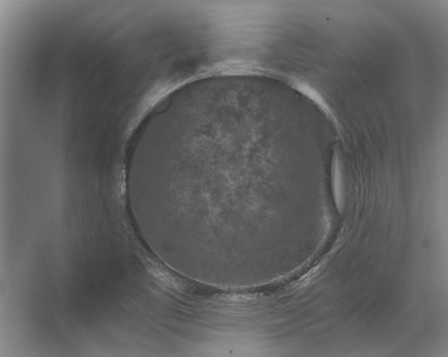 X0000072961461200607282243