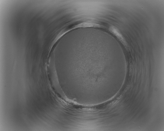 X0000072961465200607282243