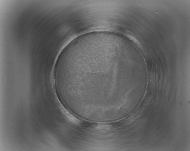 X0000072961466200607282243