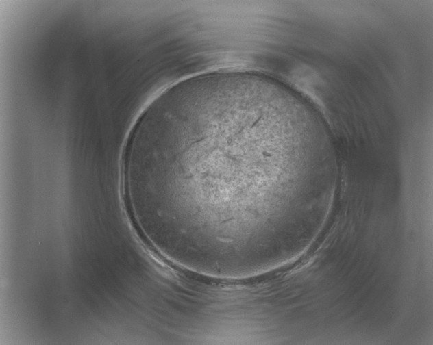 X0000072961467200607282243