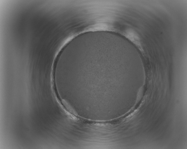 X0000072961469200607282243