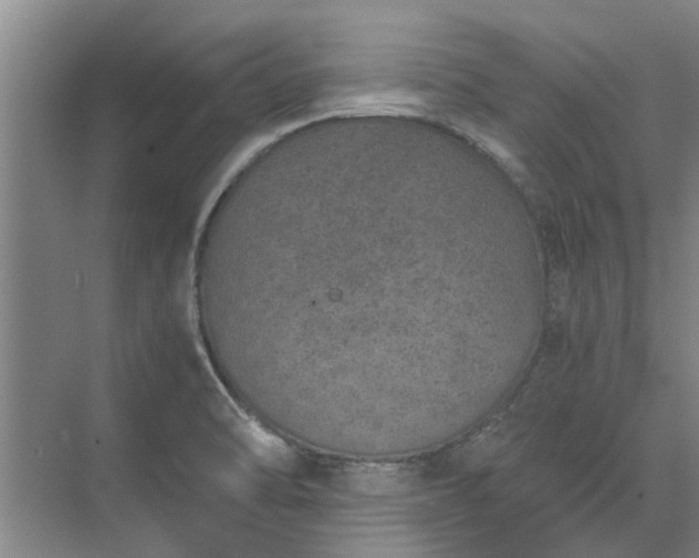 X0000072961470200607282243