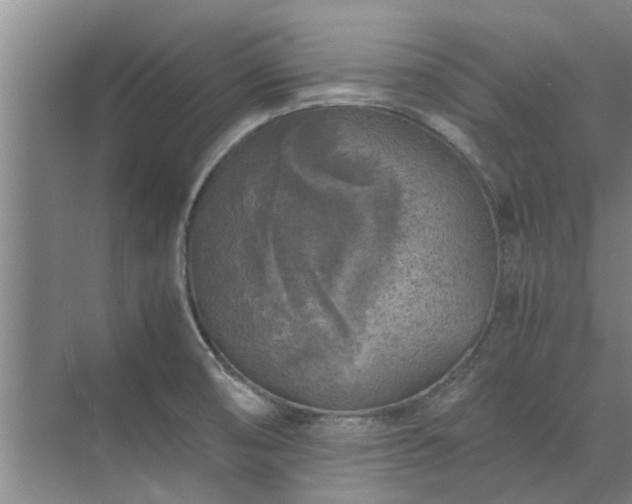 X0000072961474200607282243