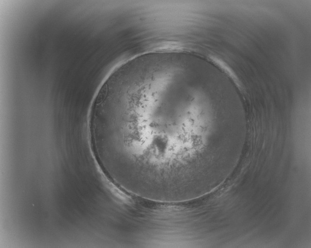 X0000072961475200607282243