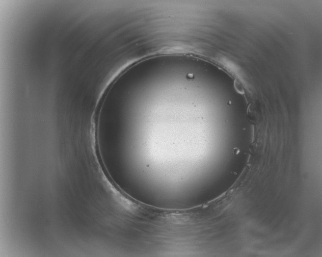 X0000072961476200607282243