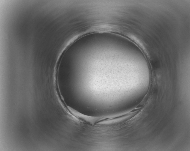 X0000072961477200607282243