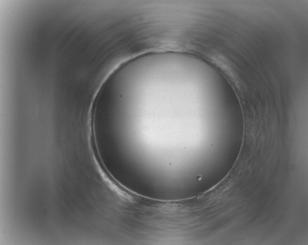 X0000072961479200607282243