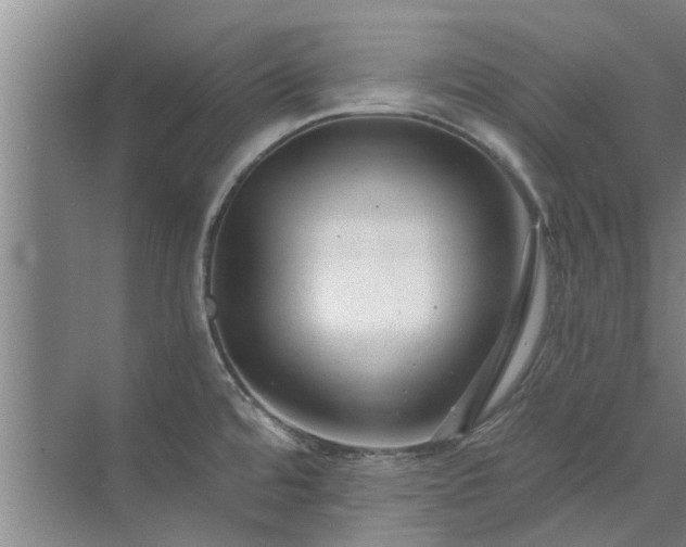 X0000072961480200607282243