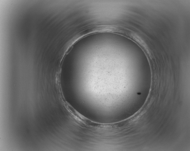 X0000072961481200607282243