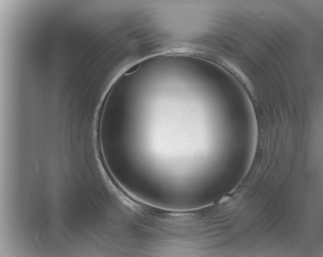 X0000072961483200607282243