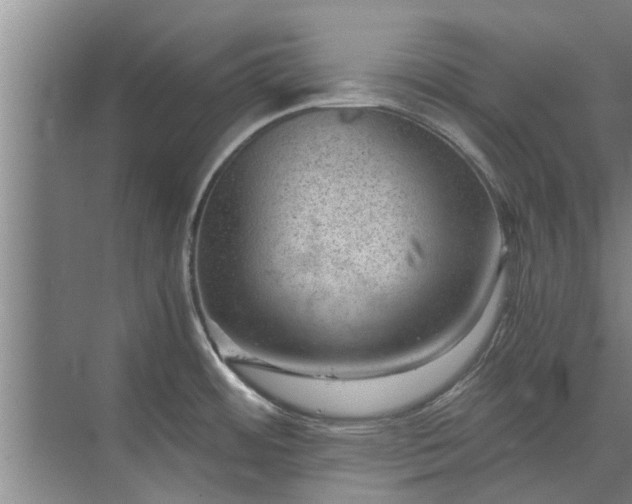 X0000072961484200607282243