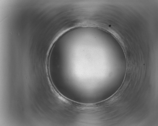 X0000072961486200607282243