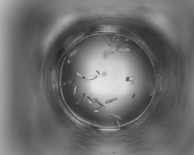 X0000072961487200607282243