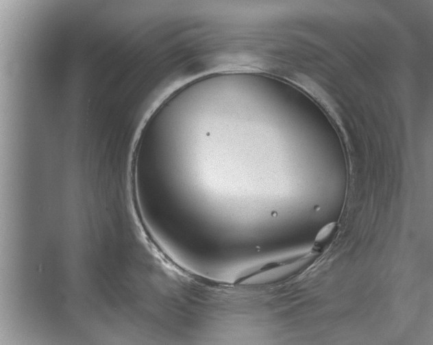 X0000072961488200607282243