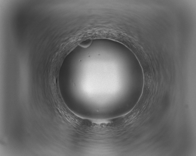 X0000072961489200607282242