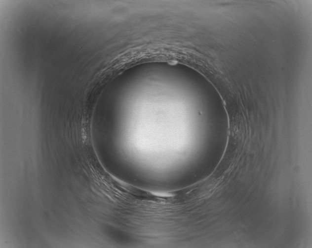 X0000072961490200607282242