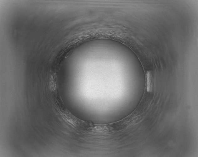 X0000072961491200607282242