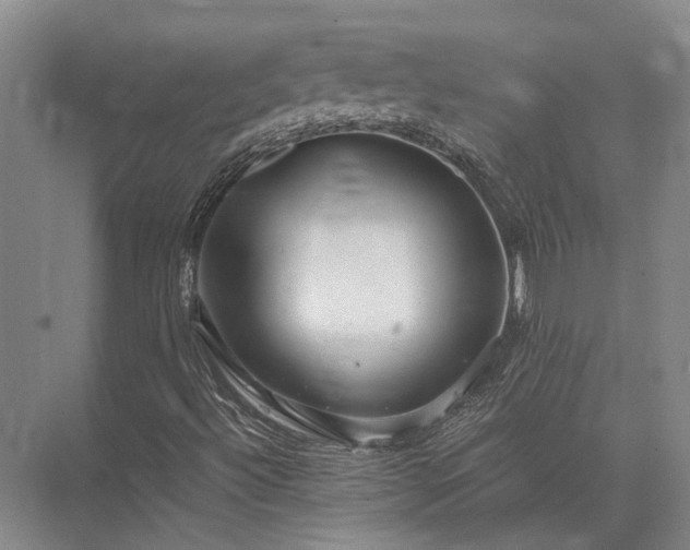 X0000072961492200607282242